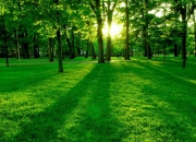 开云体育登录-意甲焦点战之夜，伊布关键战从不手软