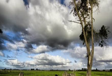 开云体育中国-北非风暴席卷永恒之城，阿尔瓦雷斯三记绝杀彻底肢解拉齐奥防线