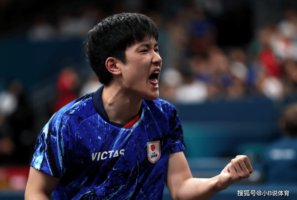 日本乒乓球队横扫瑞典乒乓球队，张本智和打破历史纪录的简单介绍