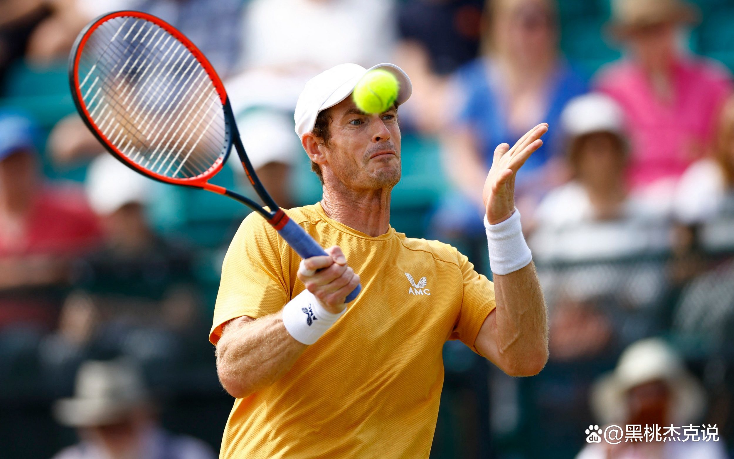 戴维斯杯轻取温网，穆雷统治全场