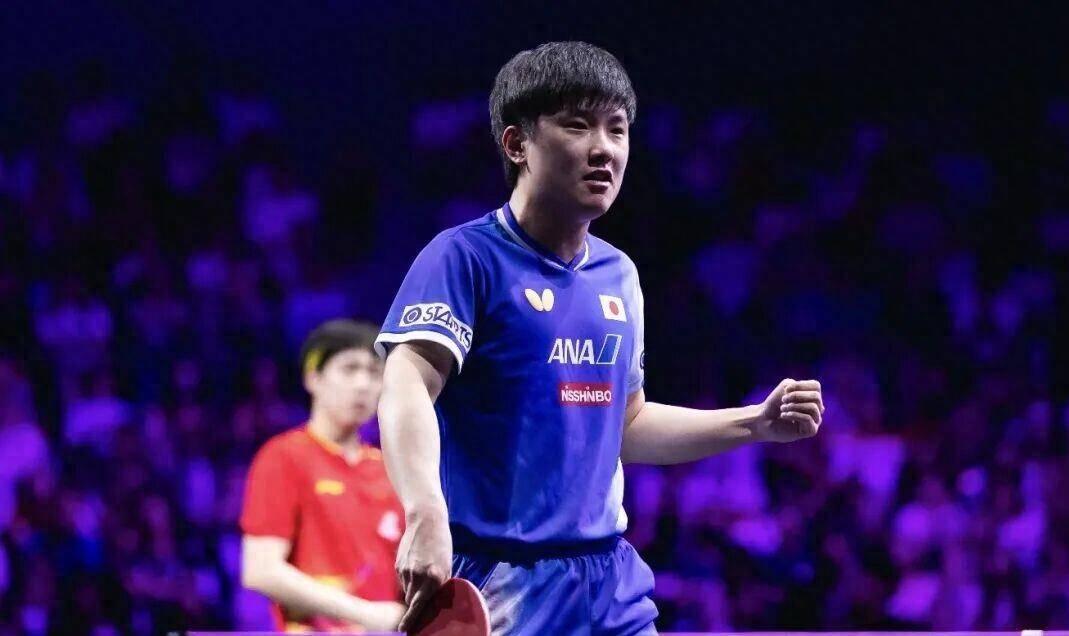 包含英国乒乓球队完胜比利时乒乓球队，张本智和爆发神勇的词条