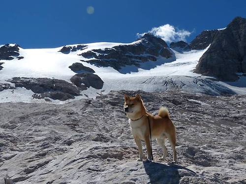 火箭碾压老鹰,哈利伯顿接管季后赛,新一代控卫的崛起宣言