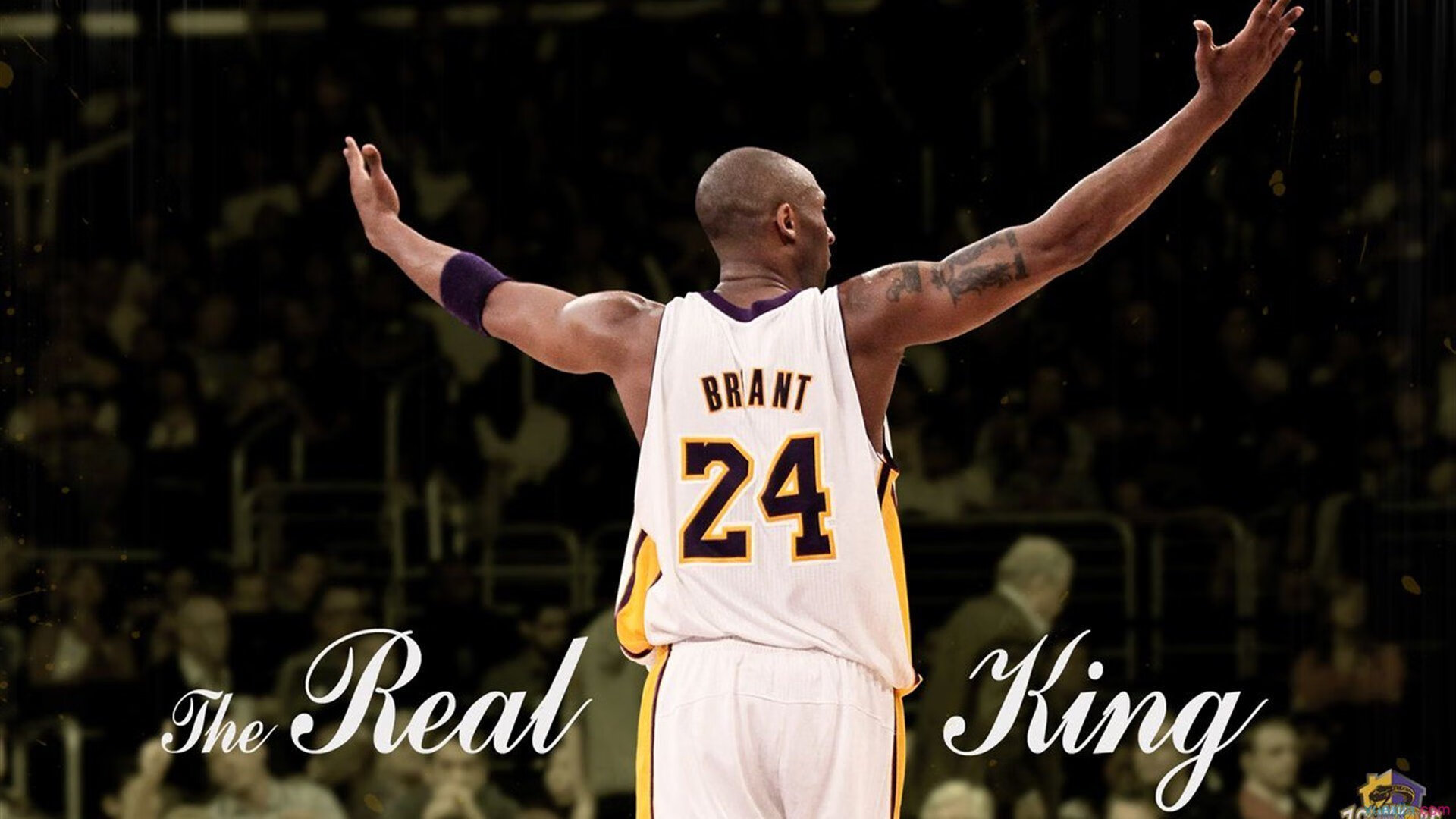 鹈鹕巅峰对决胜出篮网,拉文成为关键先生