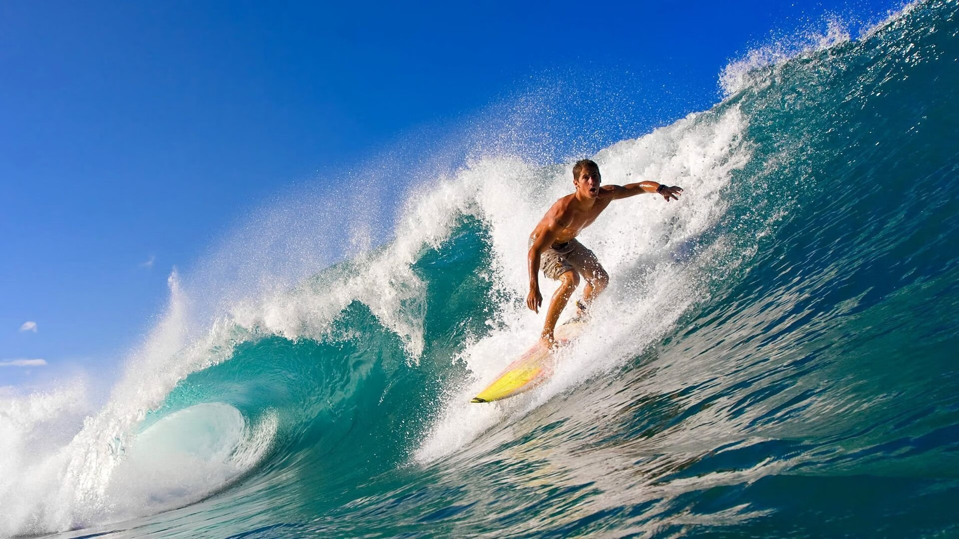 欧冠半决赛焦点战，猛龙战术如何完美压制魔术